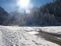 ninčk