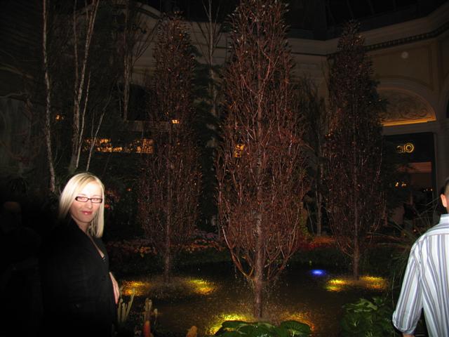 image file name: 2k7e89078fd9.jpg