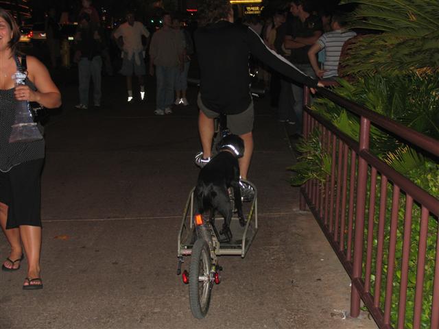 image file name: 2k938a2c11a8.jpg