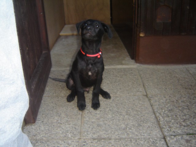 image file name: 2k0029890c36.jpg