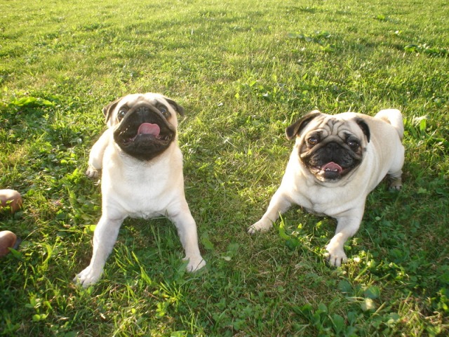 image file name: 2k02630c48a8.jpg