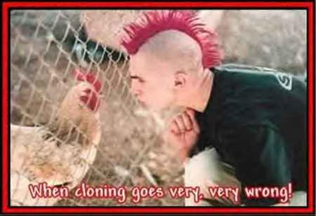 image file name: 2k033c2d6836.jpg