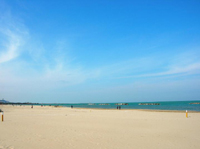 image file name: 2k046d5e1d74.jpg