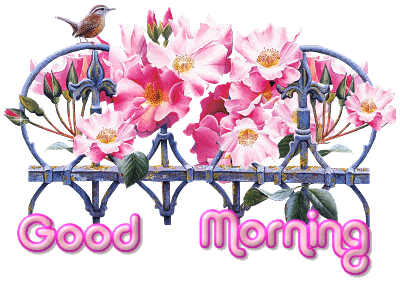 image file name: 2k04b2b60b6c.gif