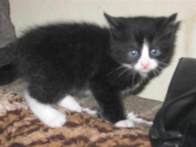 image file name: 2k063952207c.jpg
