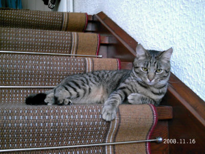 image file name: 2k0720ecebe6.jpg