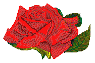 image file name: 2k0739d1f70b.gif