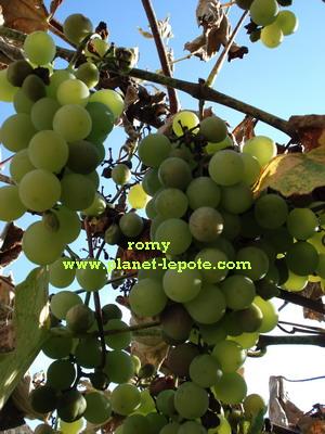 image file name: 2k074c7fe36d.jpg