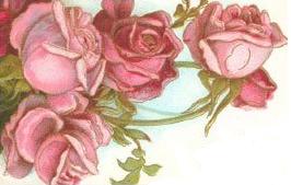 image file name: 2k08bbab3fe2.jpg