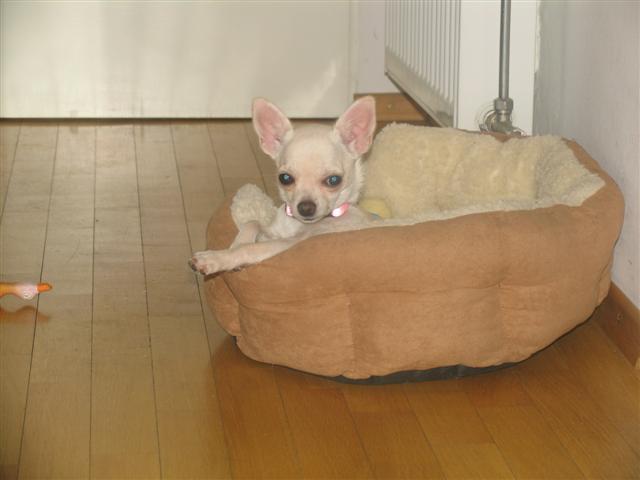image file name: 2k09ab96b254.jpg