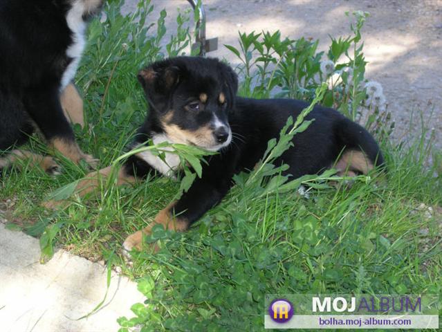 image file name: 2k0b554be9d8.jpg