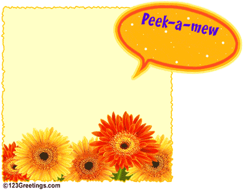 image file name: 2k0bd304b3b9.gif