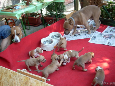 image file name: 2k0c5e2534de.jpg