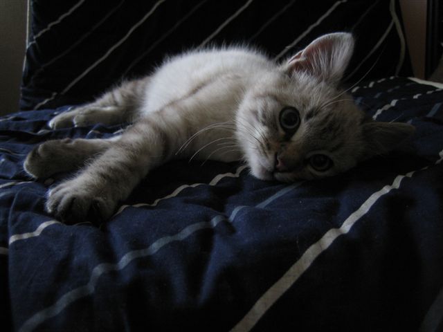 image file name: 2k0effa8c842.jpg