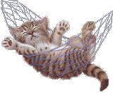 image file name: 2k0fe0582e4c.gif