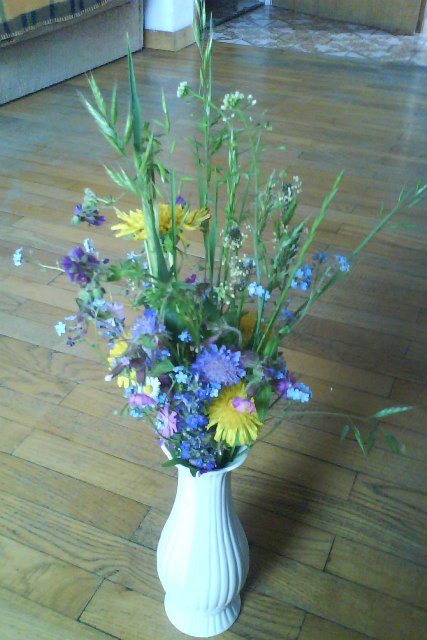 image file name: 2k109f26ac2c.jpg