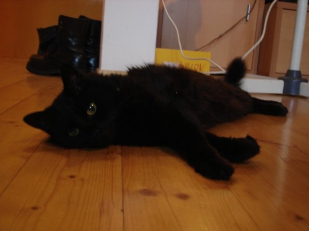 image file name: 2k11369b8e13.jpg