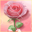 image file name: 2k11806f62b1.gif