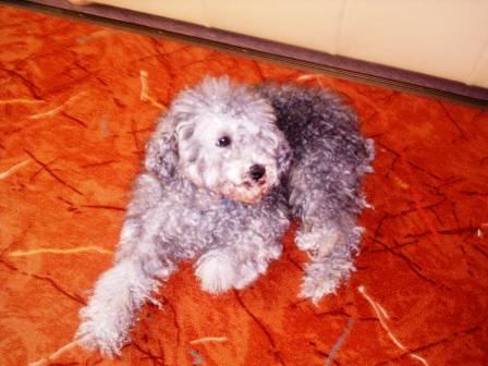 image file name: 2k11a1d17123.jpg