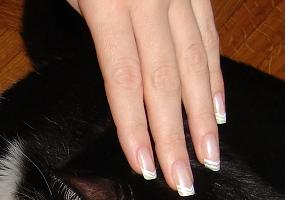 image file name: 2k121158f004.jpg