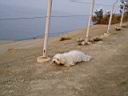 image file name: 2k1281b576fa.jpg
