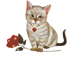 image file name: 2k19af04bb1b.gif