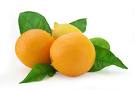 image file name: 2k1b2e6caa0e.jpg