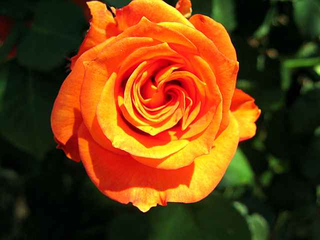 image file name: 2k1bc44a320b.jpg