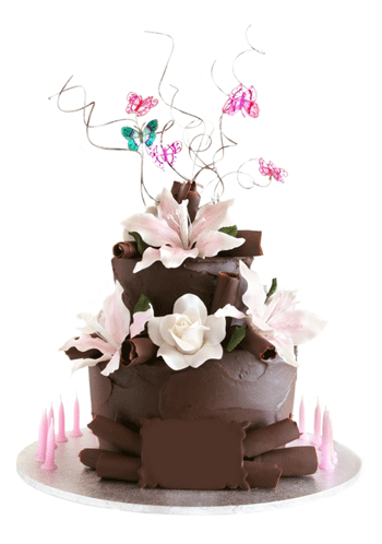 image file name: 2k1c08e8209a.gif