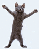 image file name: 2k1d66209c3e.gif