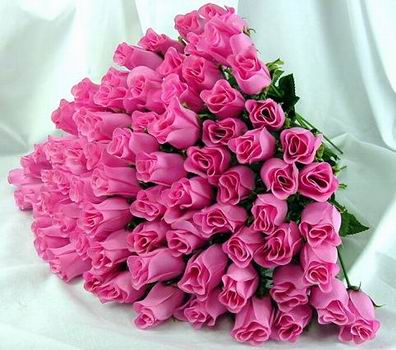 image file name: 2k1d856cee5a.jpg