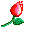 image file name: 2k1d9d5597af.gif