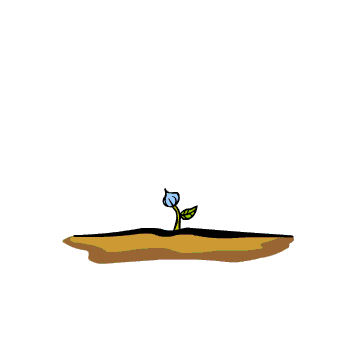 image file name: 2k1db5923e5b.gif