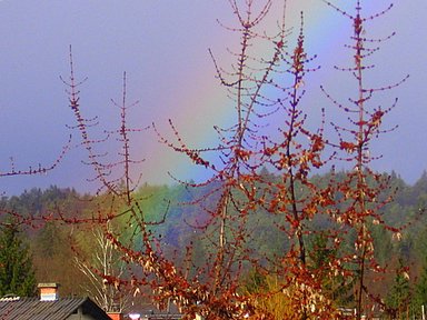image file name: 2k1db9190121.jpg