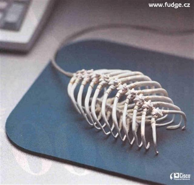 image file name: 2k1f07cc7224.jpg