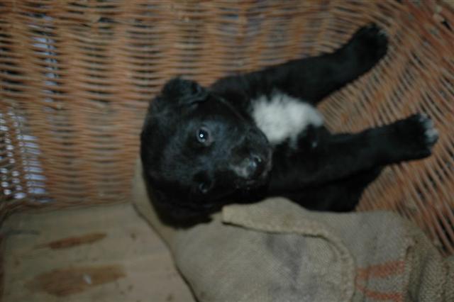 image file name: 2k215300b36c.jpg