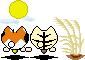 image file name: 2k216c389c75.gif
