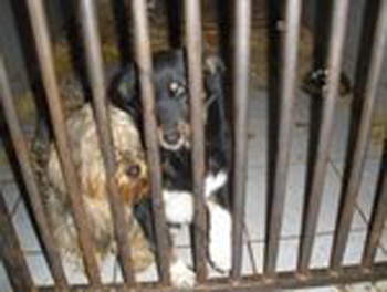 image file name: 2k21c024f05c.jpg