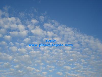 image file name: 2k2347f08a9a.jpg