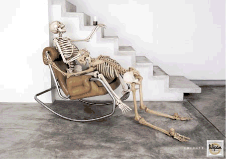image file name: 2k242315fd41.gif