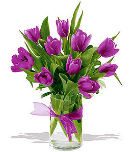 image file name: 2k244c231ff4.jpg