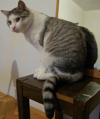 image file name: 2k249cc03c8c.jpg
