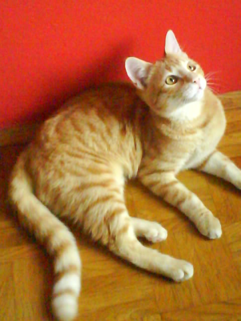image file name: 2k2867c9e4ea.jpg