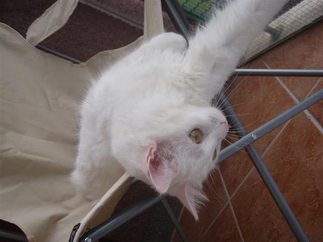 image file name: 2k2a0f697244.jpg