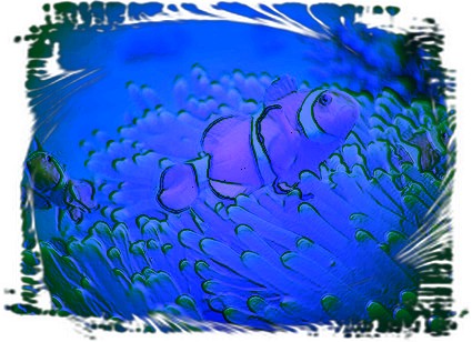 image file name: 2k2be9ca48cc.jpg