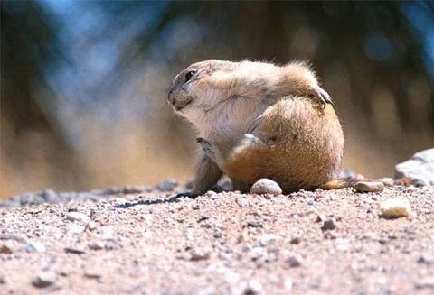 image file name: 2k2cdb342fa4.jpg