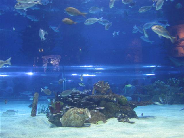 image file name: 2k2f020e6636.jpg