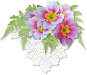 image file name: 2k2f9470611c.gif