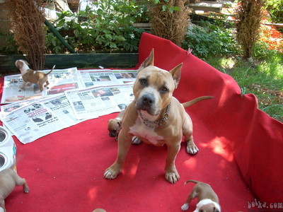 image file name: 2k314748bb27.jpg