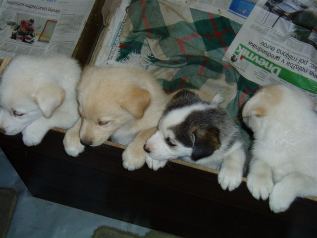 image file name: 2k3150aca199.jpg